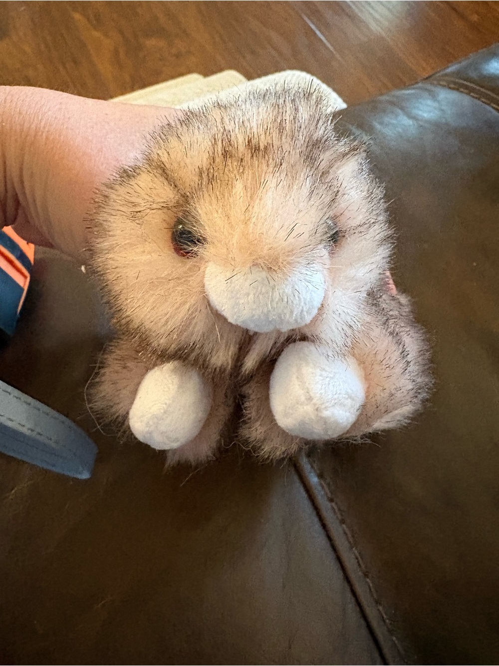Plush Small 6in Toy - Soft Beige/Brown Comfort Ty brand, Buster